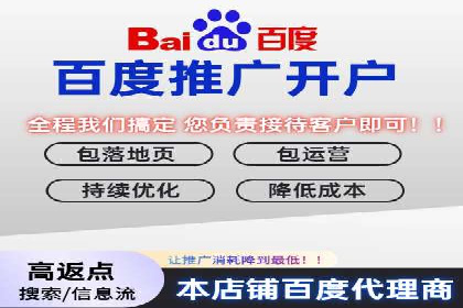提升网站流量与转化率的关键——关键词竞价排名案例
